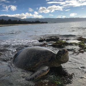 Meet your Posher, Kaitlyn